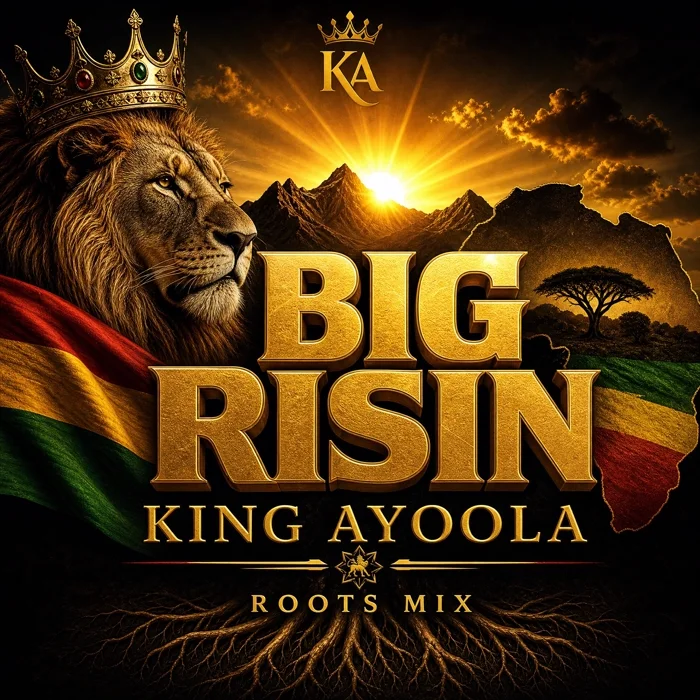 Big Risin cover art